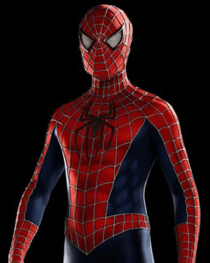 The Amazing Spiderman Leather jacket